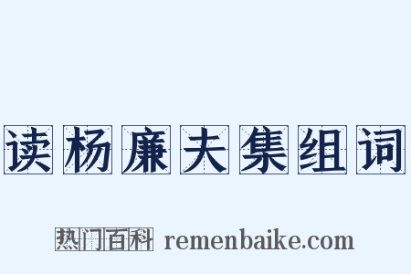 读杨廉夫集组词是什么意思的图片